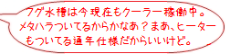 rank02_1.png