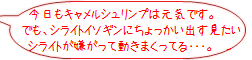 rank02_1.png