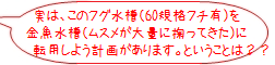rank02_1.png