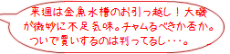 rank02_1.png